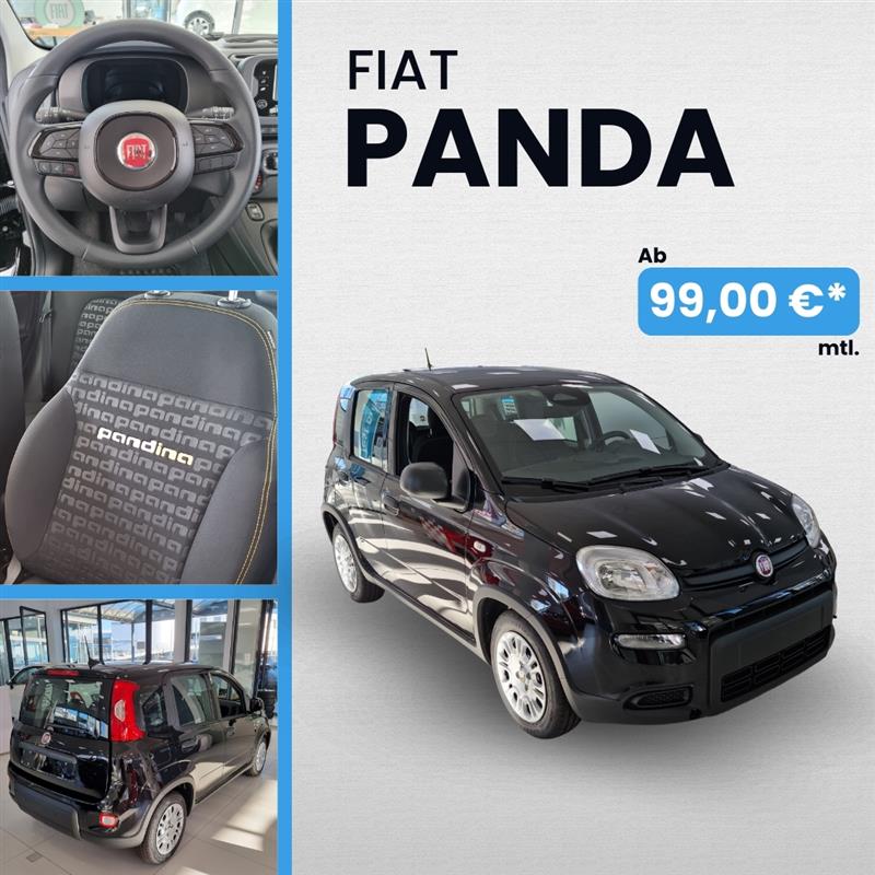 FIAT Panda Leasing